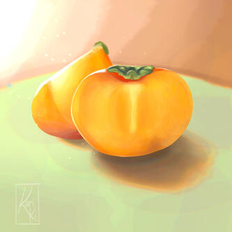 Persimmon Study